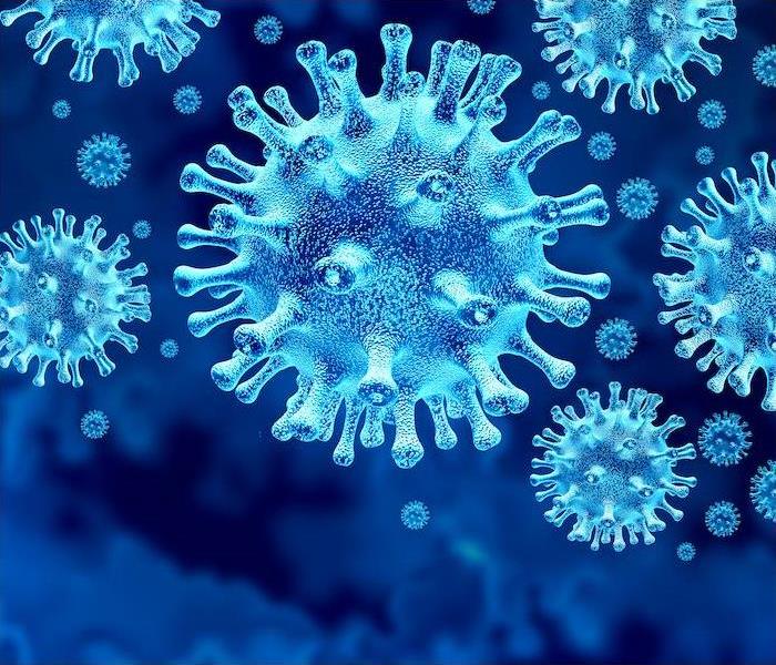 close up of virus cells on a blue background