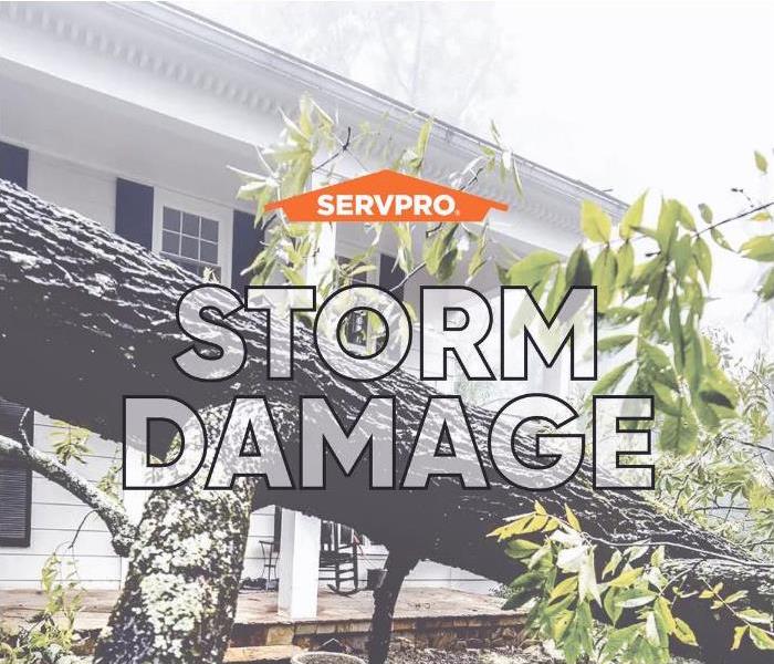 Tree fallen on house with SERVPRO logo and text "Storm Damage"
